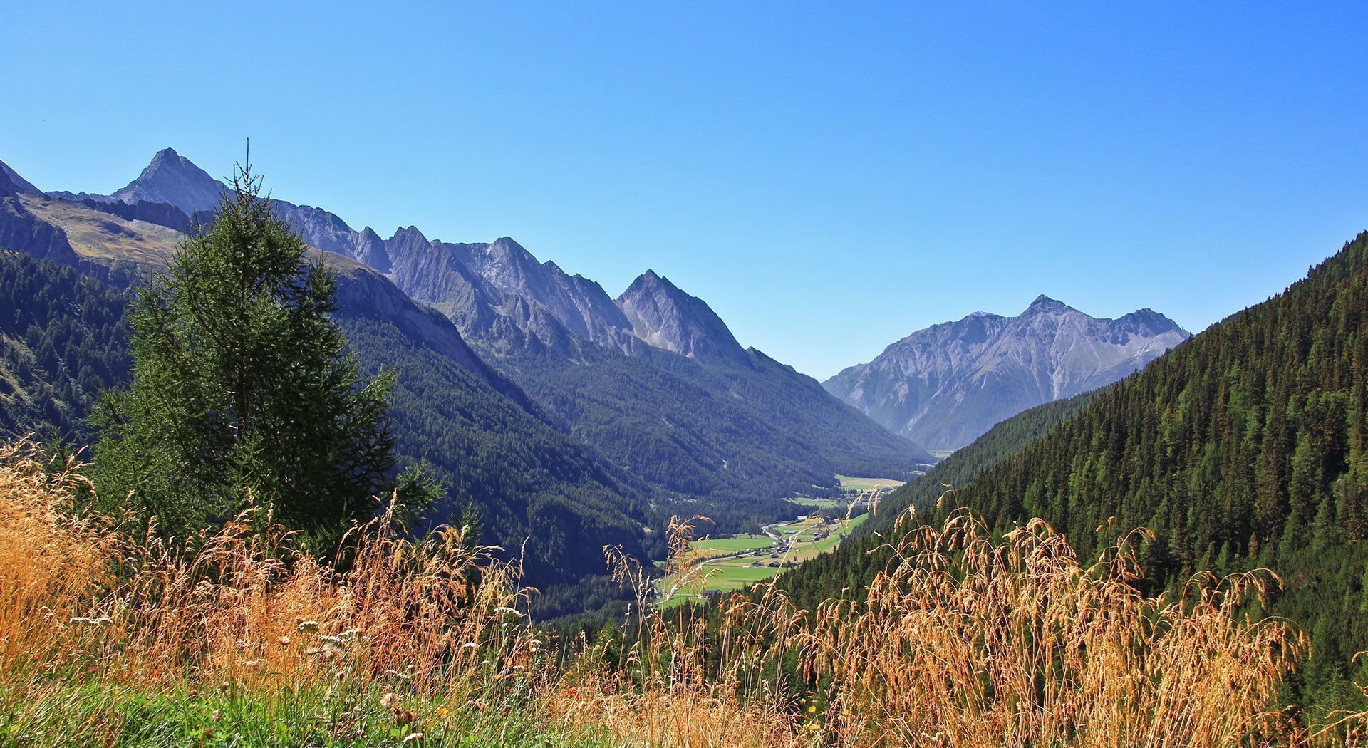 Schutzhaus hoch über dem Pfitschertal